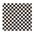 Checkered Bandana